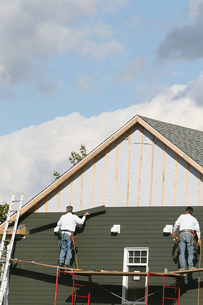 Best Brick Veneer Siding  in Verona, WI